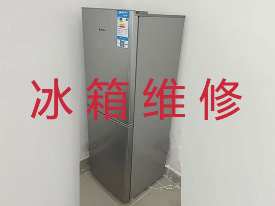 桂林冰箱维修服务